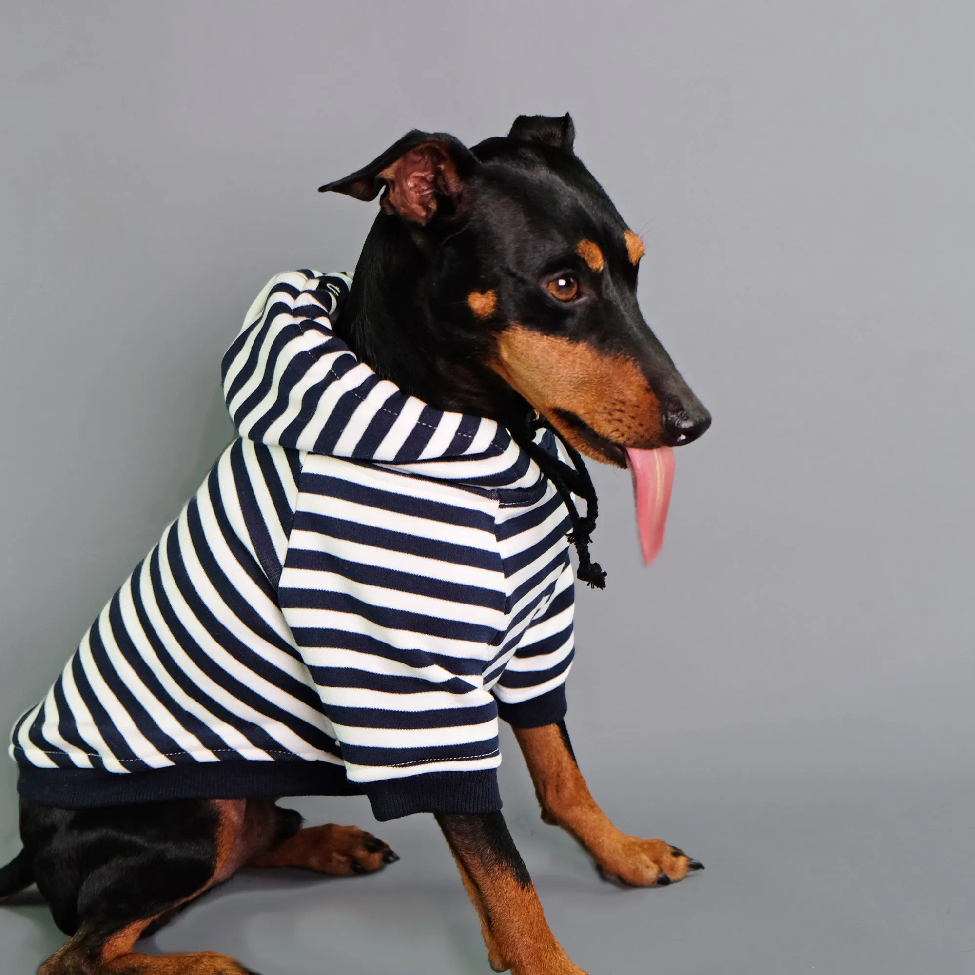 Best Mate Striped Dog Hoodie