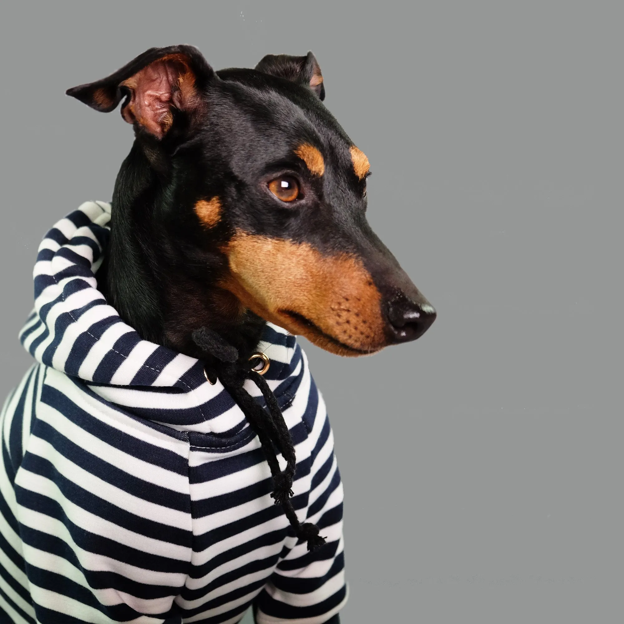 Best Mate Striped Dog Hoodie