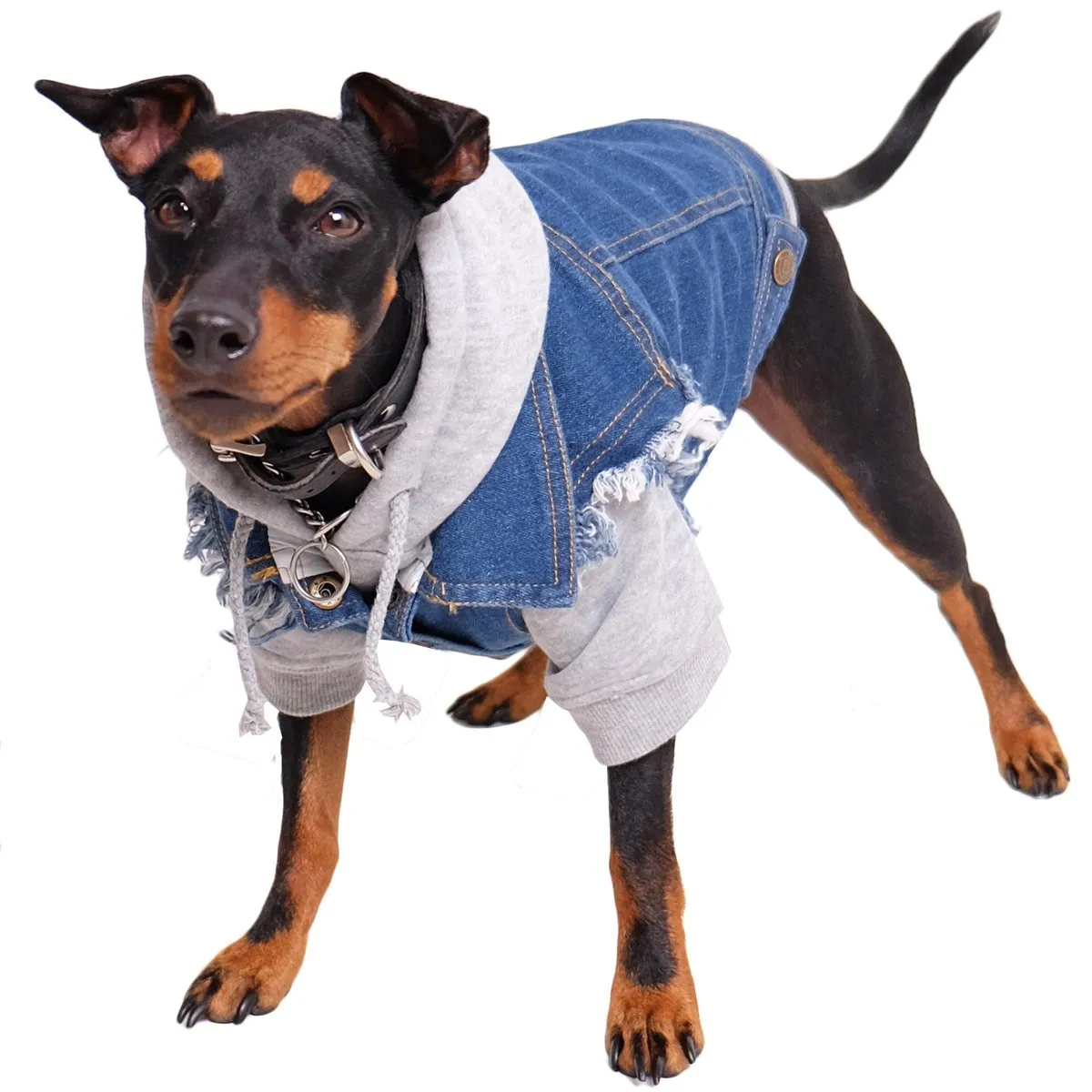 Denim dog vest   Dog Band Hoodie Set