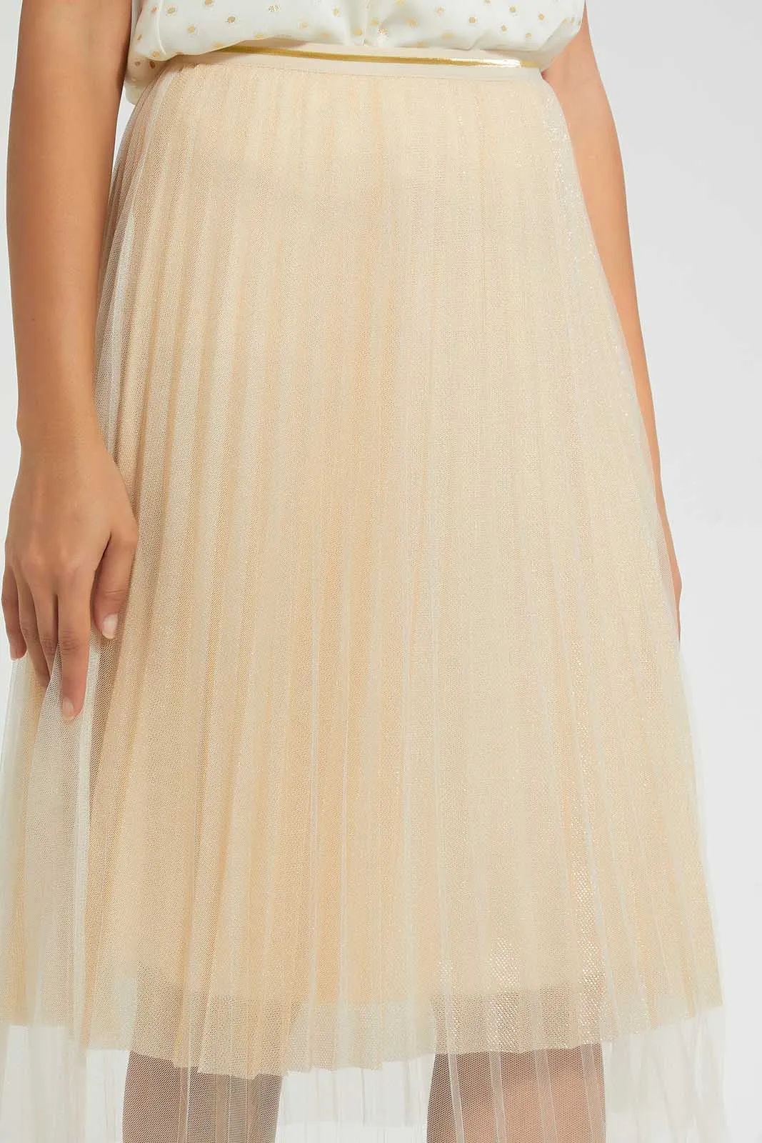 Gold Pleated Mesh Skirt