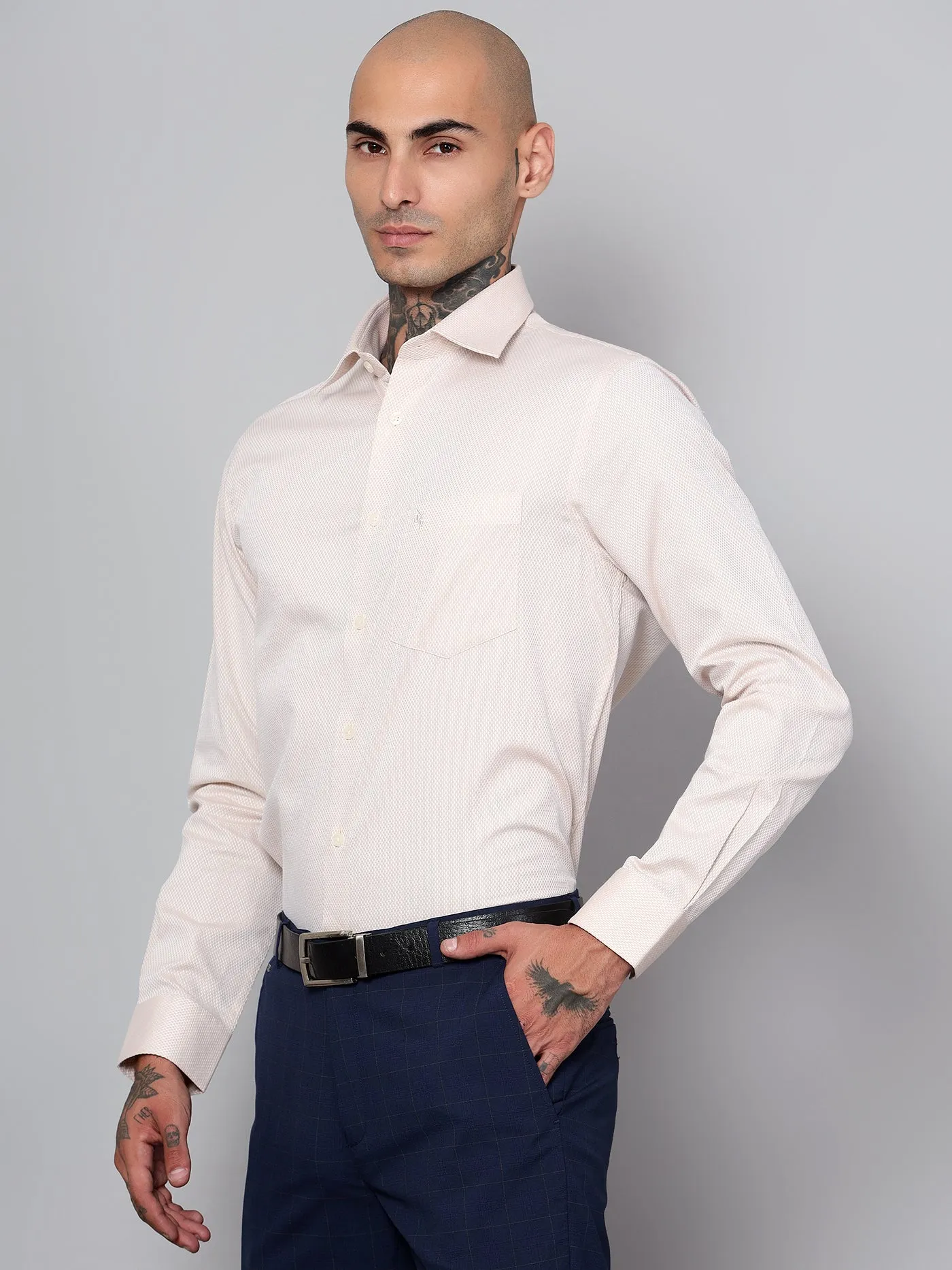 Men's Fawn Formal Self Textured Full Sleeve Shirt