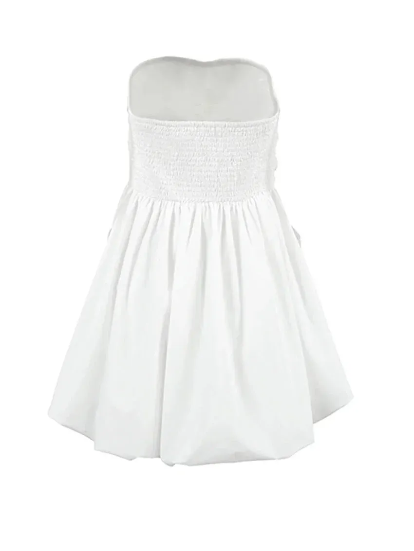 Tube Fit and Flare Pleated Mini Dress with Smocked Back